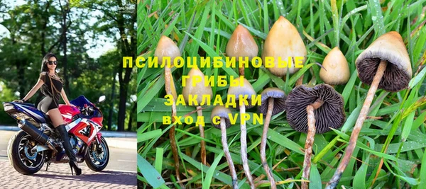 гидропоника Богородск