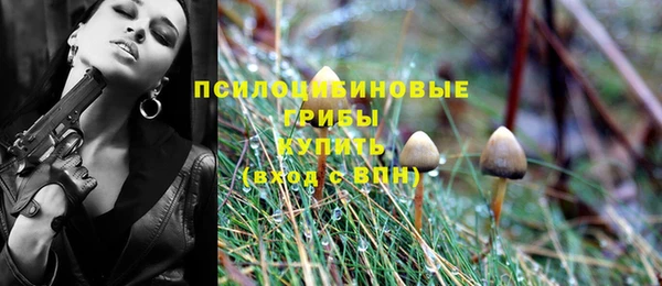 кокаин перу Богданович